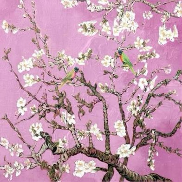 Meet your Posher, Sydney - Picture 1 of 1